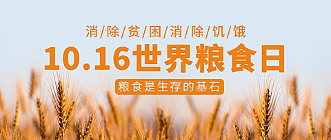 世界粮食日节约粮食光盘行动首图