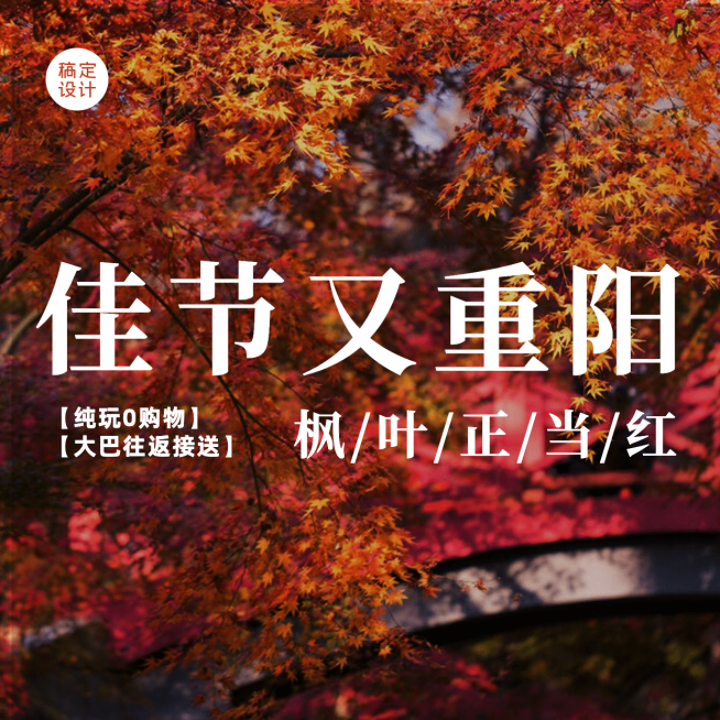 旅游出行重阳节线路营销简约实景方形海报预览效果