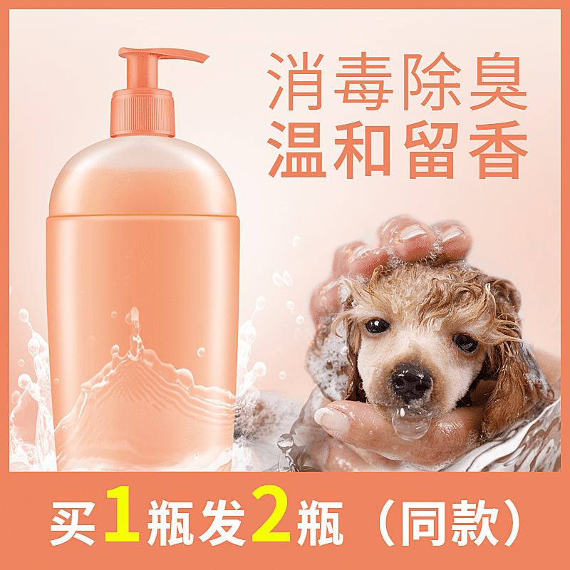 简约宠物洗护主图