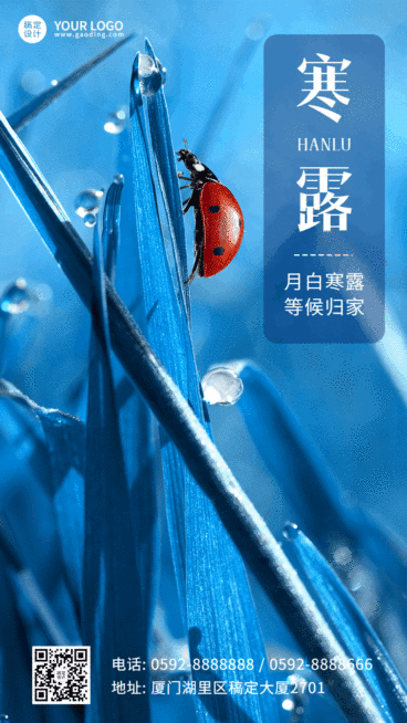 寒露节气合成GIF动态海报预览效果