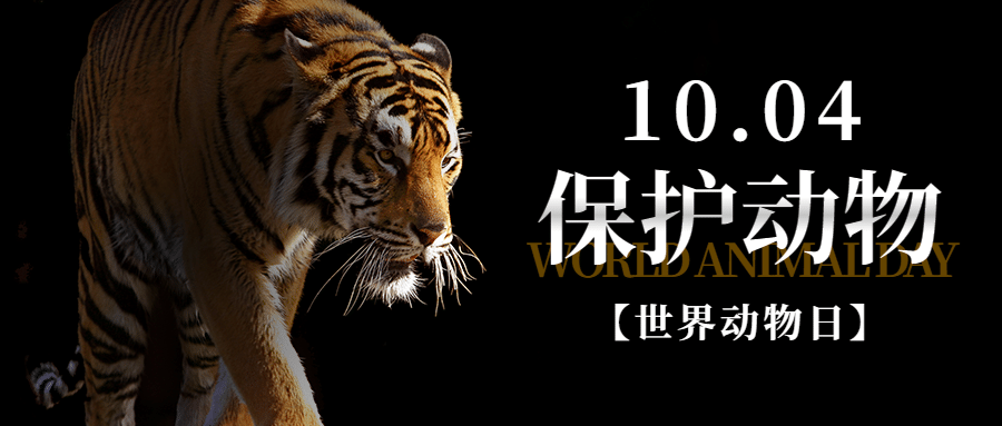 世界动物日保护动物公益爱心首图