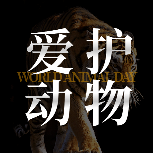 世界动物日保护动物公益爱心次图预览效果