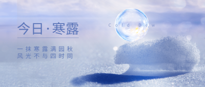 寒露节气祝福问候露珠枫叶实景首图