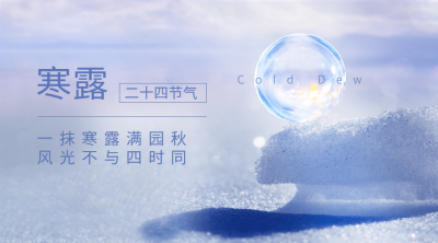 寒露节气祝福问候露珠枫叶横版海报