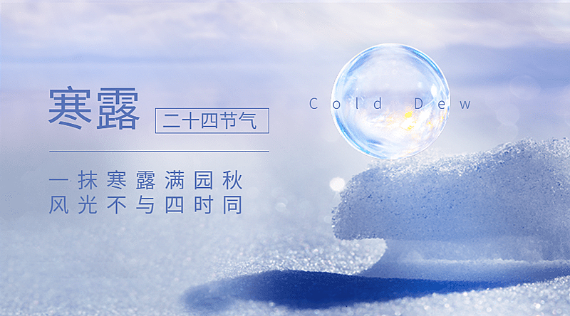 寒露节气祝福问候露珠枫叶横版海报