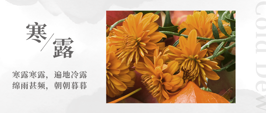 寒露节气祝福问候图框公众号首图预览效果