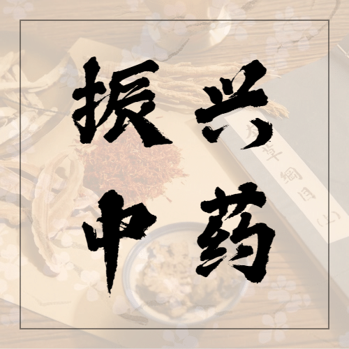 世界传统医药日中医宣传公众号次图预览效果