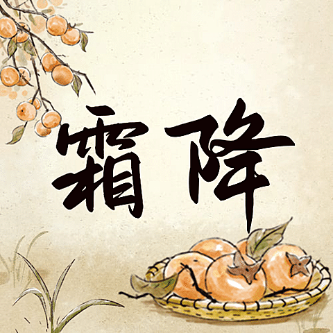 霜降节气祝福吃柿子手绘插画公众号次图