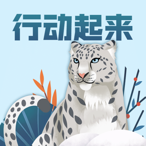 世界雪豹日保护珍稀动物公益宣传手绘公众号次图预览效果