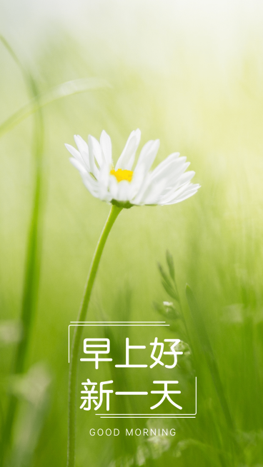 早安问候唯美手机海报预览效果
