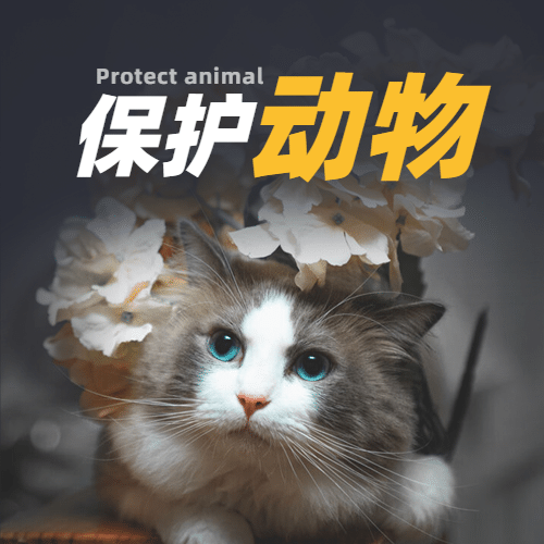 世界动物日动物保护爱心公益宣传实景公众号次图预览效果