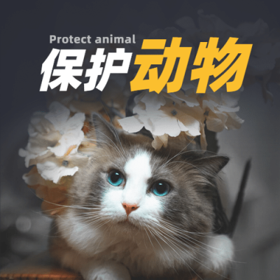 世界动物日动物保护爱心公益宣传实景公众号次图