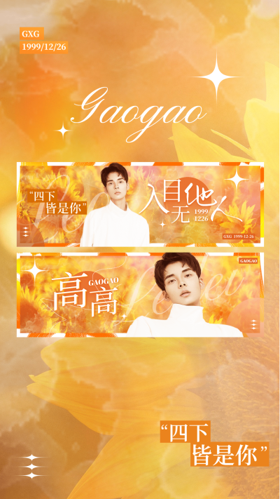 梦幻风明星应援横版应援手幅预览