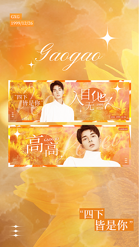 梦幻风明星应援横版应援手幅预览
