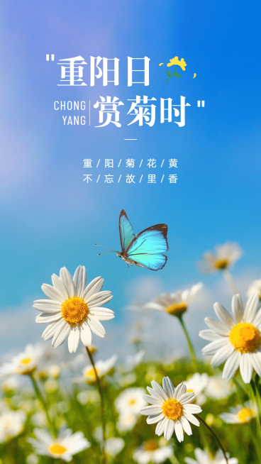 重阳节祝福清新实景全屏祝福海报小雏菊蝴蝶预览效果