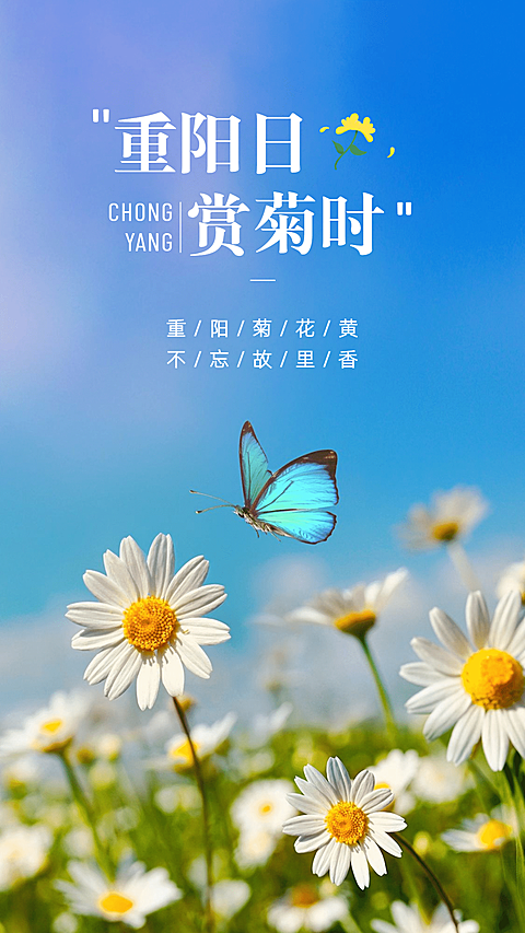 重阳节祝福清新实景全屏祝福海报小雏菊蝴蝶