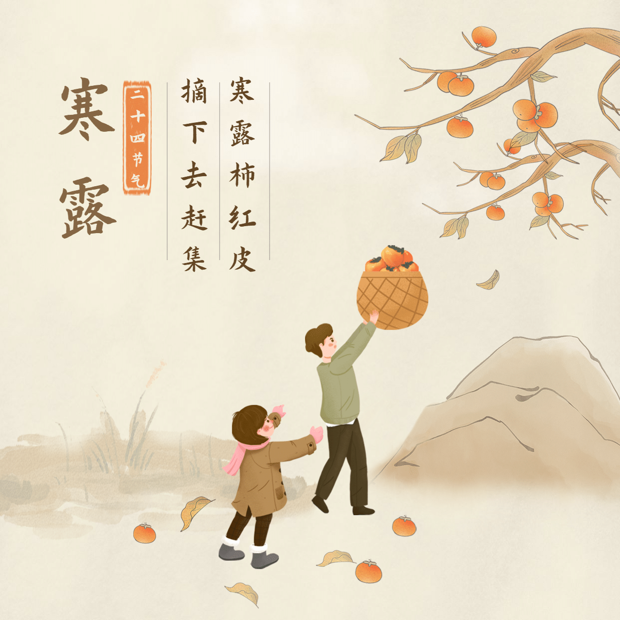 寒露节气问候祝福柿子手绘方形海报预览效果