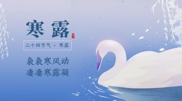 寒露节气祝福问候手绘天鹅横版海报