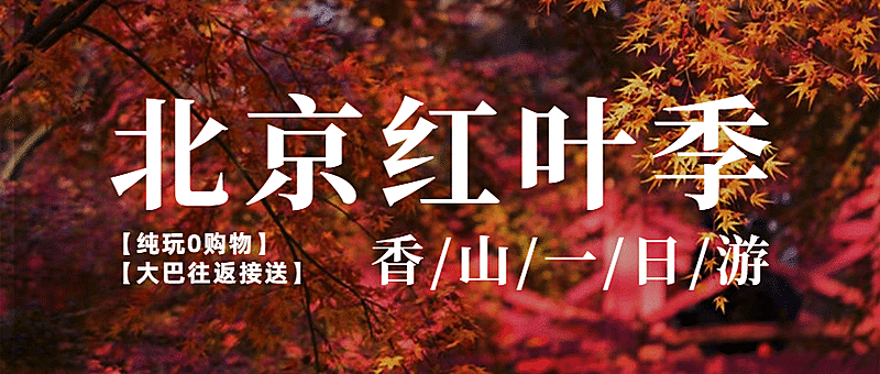 旅游出行线路营销实景公众号首图