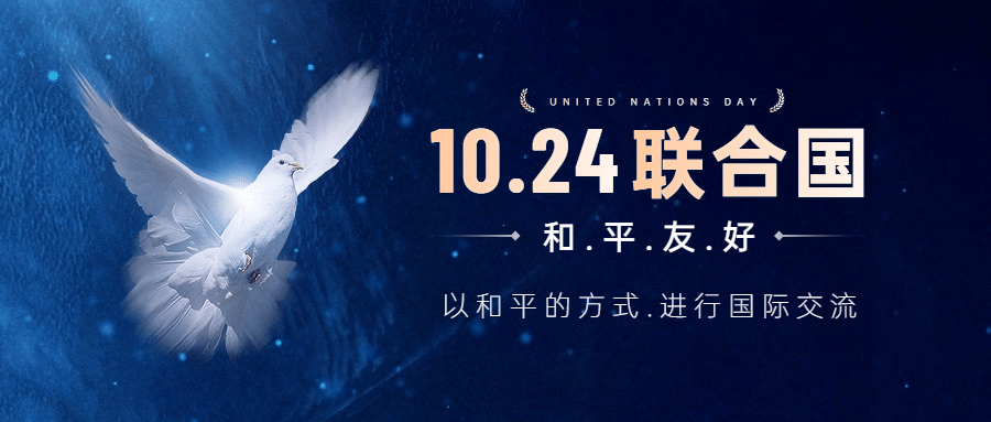 联合国日世界和平发展贸易公众号首图预览效果