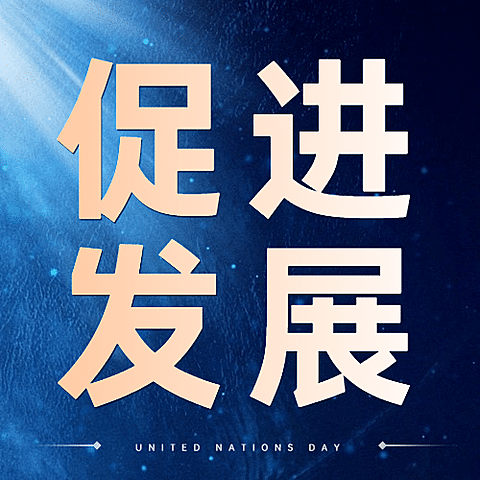 联合国日世界和平发展贸易公众号次图