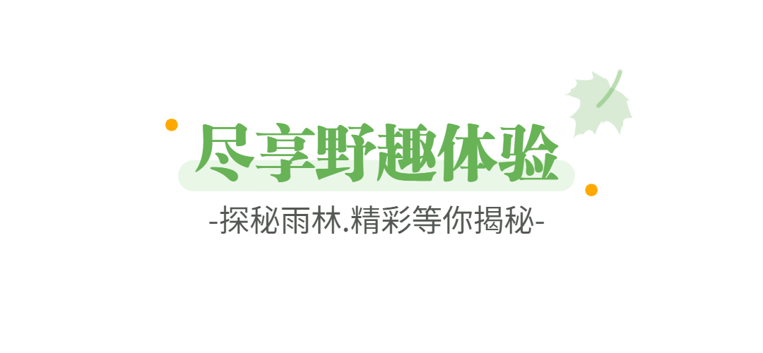 旅游出行攻略指南清新文章标题预览效果