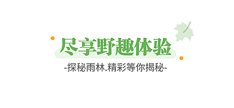 旅游出行攻略指南清新文章标题