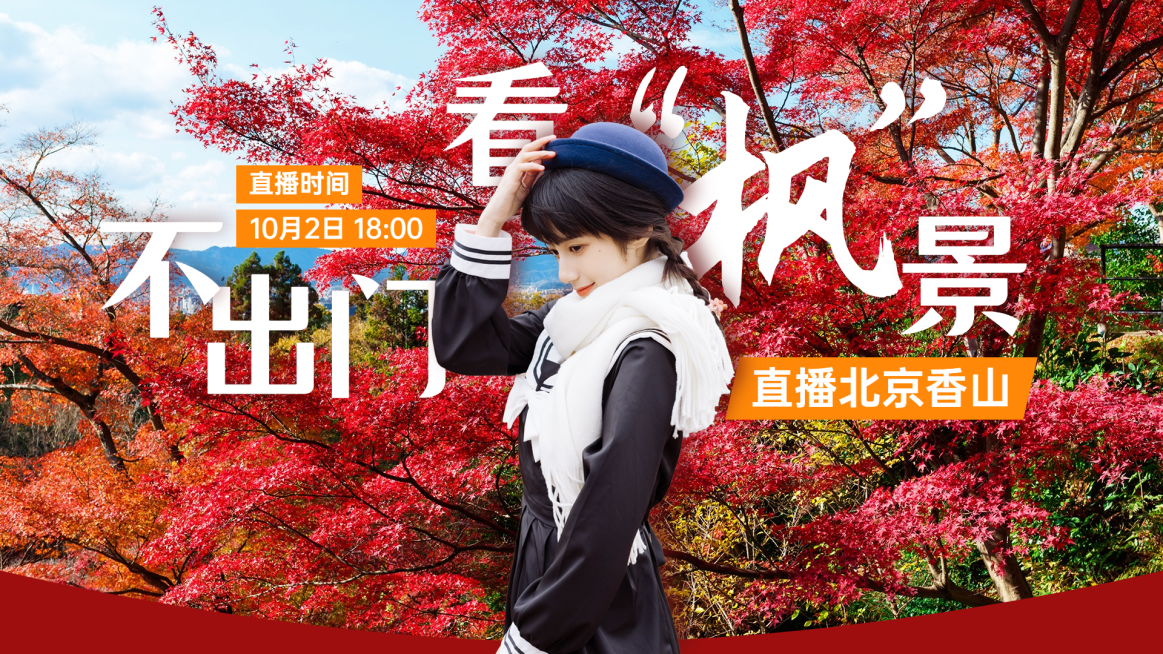 旅游出行直播预告实景横版视频封面预览效果