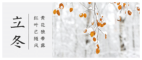 立冬节气日签实景雪花公众号首图