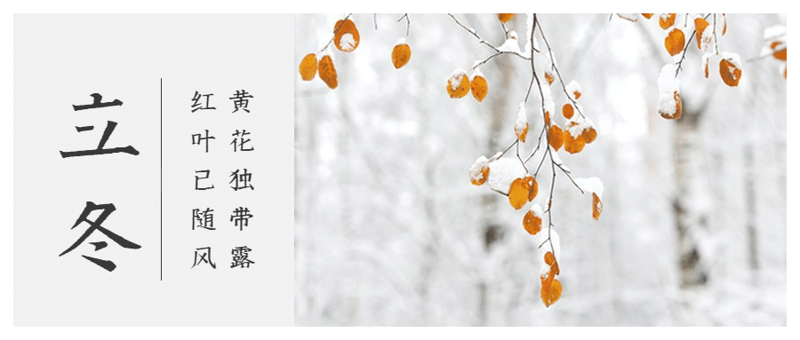 立冬节气日签实景雪花公众号首图