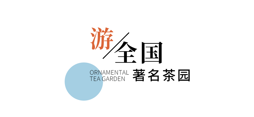 旅游茶园宣传清新公众号文章标题预览效果