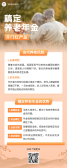 模板缩略图