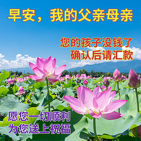 双十一趣味土味吃土表情包
