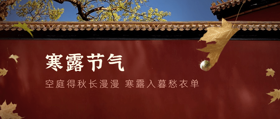 寒露节气祝福红墙枫叶实景公众号首图预览效果