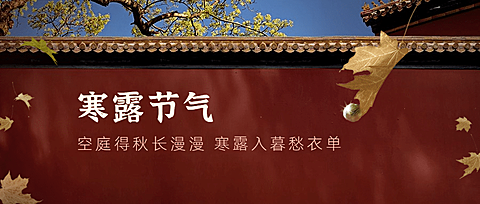 寒露节气祝福红墙枫叶实景公众号首图