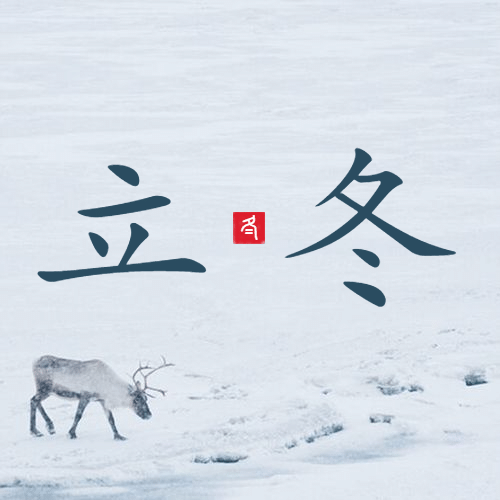 立冬节气雪地实景排版祝福公众号次图预览效果
