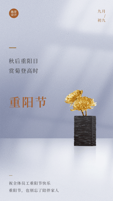 九九重阳节节日祝福简约实景动态海报预览效果