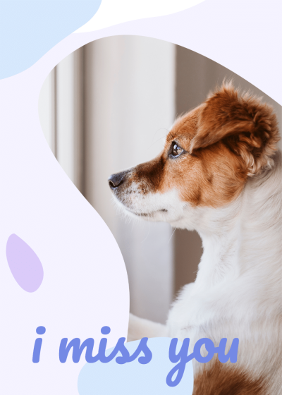 Dog Missing Greeting Card