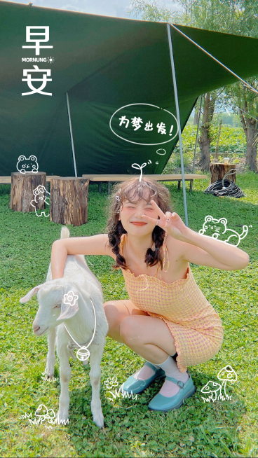 早安问候正能量晒照手机海报预览效果