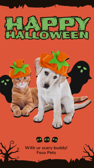 Fashion Halloween Pet Clothing Promotion Ecommerce Story