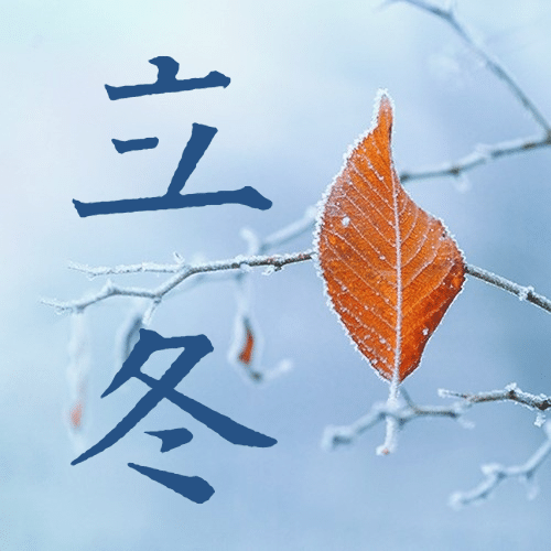 立冬节气树枝实景特写祝福公众号次图预览效果