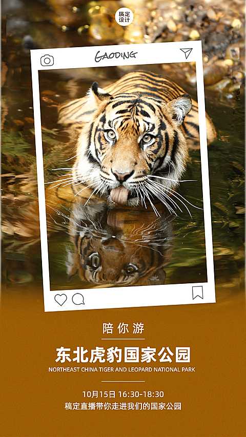 景区景点直播预告实景竖版海报