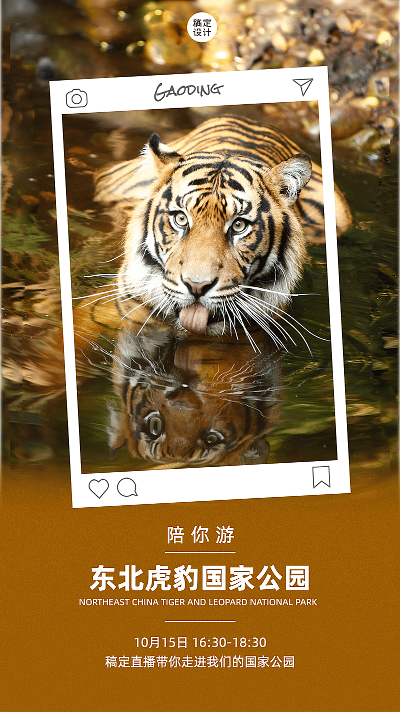 景区景点直播预告实景竖版海报