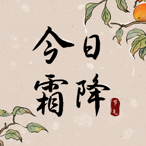 霜降节气祝福柿子手绘公众号次图预览效果
