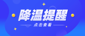 模板缩略图
