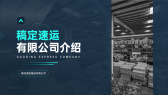 模板缩略图