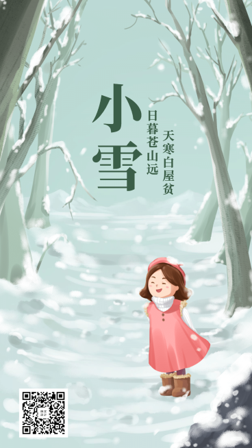 24节气/小雪/插画/手机海报预览效果