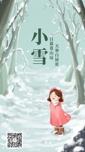24节气/小雪/插画/手机海报