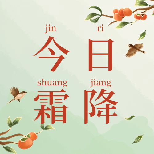 霜降节气祝福手绘红墙柿子公众号次图预览效果
