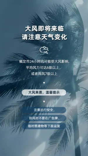 天气温馨提醒大风手机海报